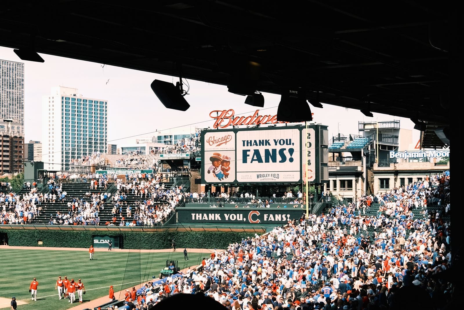 MLB